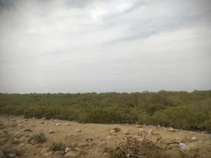 بوستان هلر 2