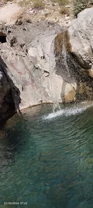 فنوج