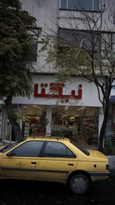 نیکتا 2