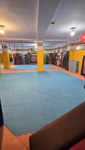 باشگاه رزمی نینجوتسو نینجا
