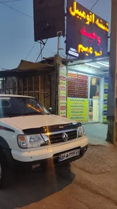 شیشه اتومبیل پل 3