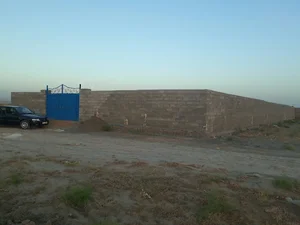 قالیشویی سپید توس