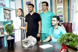 رویال پت
