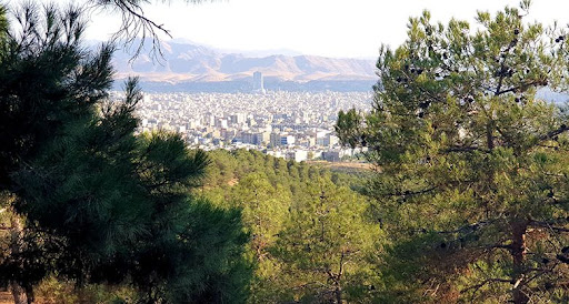 بوستان جنگلی یاس شمالی