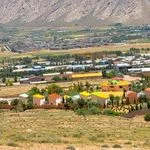 تزیینات مجالس نجفی