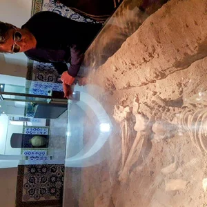 ستاره سمنان