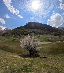 ییلاق کوه روبار