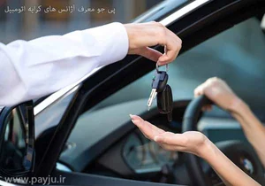 آژانس میلاد