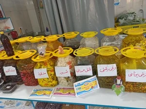 سبزیجات آماده طبخ تربچه پلاس 4