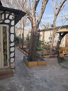 کمپ ترک اعتیاد مسیر سبز