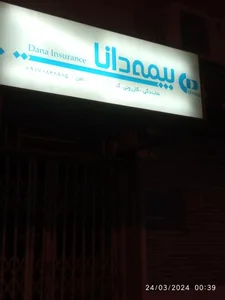 بیمه دانا