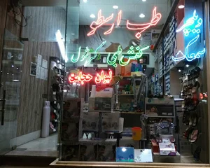 طب ارسطو