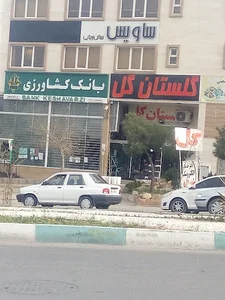 بانک کشاورزی