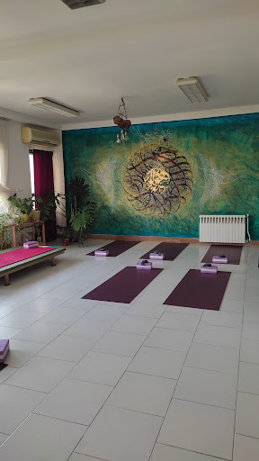 Yoga Asana (مجموعه تخصصی یوگا آسانا)
