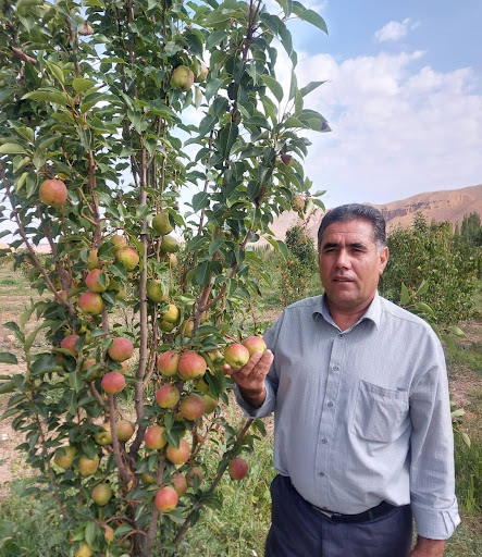 نهال فروشی اسرافیل رحمتی