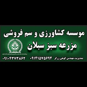 مؤسسه مهندس کوهی