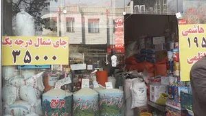 فروشگاه برنج