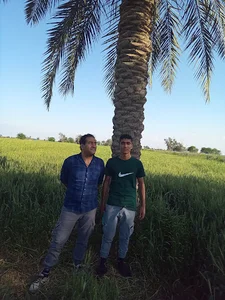 موسسه زبان مهرنگار