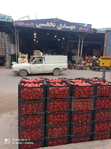میوه تره بار مهدی نخعی