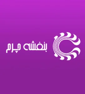 فروشگاه کفش چرم بنفشه