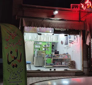 عکاسی و فیلمبرداری الینا
