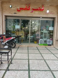 قصر قفس 2