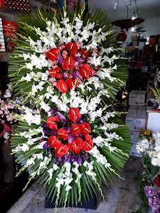 گل پاریانا