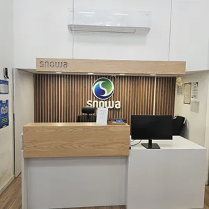 شرکت اسنوا(نمایندگی سیف السادات)