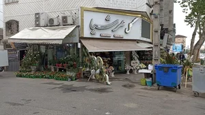 گل فروشی عرشیا
