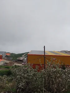 کوی گل نرگس