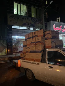 پخش تخم مرغ وطن خواه
