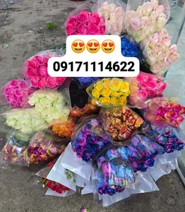 تولید و پخش رز هلندی معینی