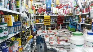 رنگ و چسب کاشی محمدی