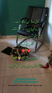 خدمات تخصصی ماساژ صبا صبور 4