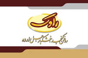 فروشگاه راوک