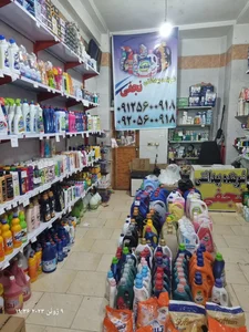 شوینده بهداشتی نجفی 2