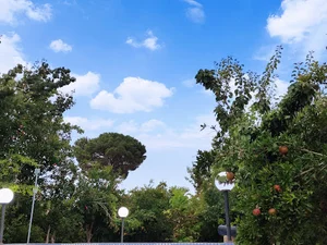 پیش دبستانی سفید برفی