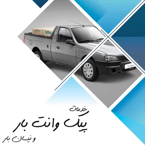 Rashidi barbary