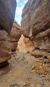 دره پلاسو