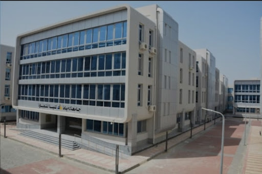 Faculty of Archaeology Damietta University