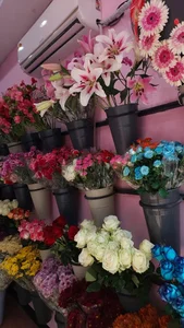گلفروشی آرونیا 5