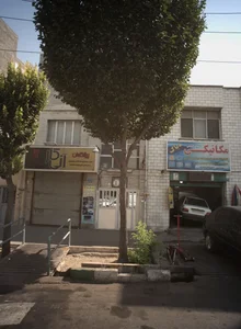 پیشگامان آنی کار 2