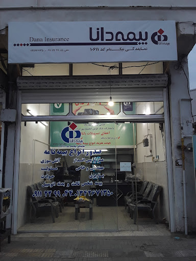 نمایندگی بیمه دانا - نیکنام