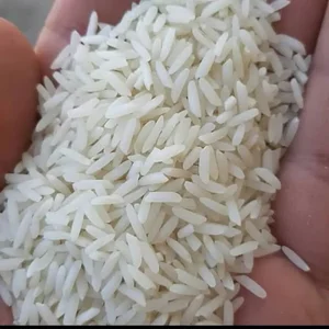 فروشگاه و کارخانه برنج آسوده