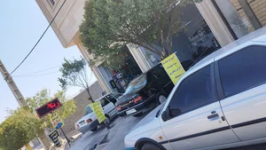تزیینات اتومبیل یساری