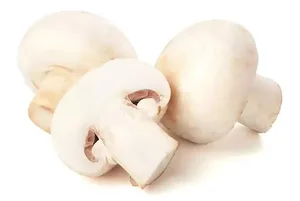 احسان پخش عمده قارچ