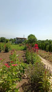 گلکده سید(سید محمد طاهری)