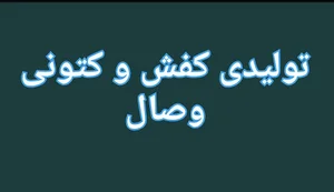 تولیدی کفش و کتونی محمودی