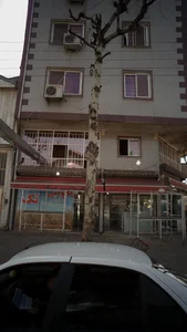 نانوایی تک