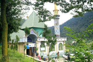 فاطمیه